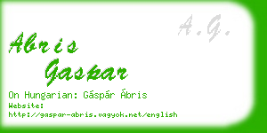 abris gaspar business card